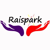 Raispark Coaching logo - Similar company to Opsdo Analytics