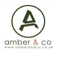 Amber & Co Ltd logo - Similar company to Knight Young Group