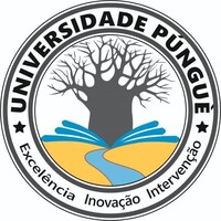 Universidade Púnguè logo - Similar company to Universidade Lúrio