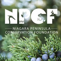 Niagara Peninsula Conservation Foundation logo - Similar company to Canadian Trees For Life