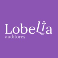 Lobelia Auditores | Auditing Financial Statements, Sustainability, and Public Funding logo - Similar company to Zergalan