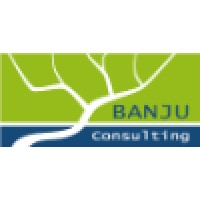 Banju Consulting logo - Similar company to Unit Communication
