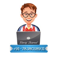 Freelance Website Designer in Delhi 9654198913 logo - Similar company to Website Designer | Wordpress Developer