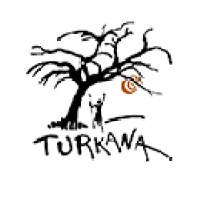 Cirugía en Turkana logo - Similar company to Sauce Ong