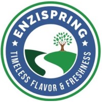 ENZISPRING KENYA LIMITED logo - Similar company to Bluezone Care Ltd