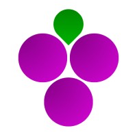 Grapevine Technologies logo - Similar company to Grapevine Technologies Inc