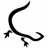 Project Gecko logo - Similar company to Carinthia