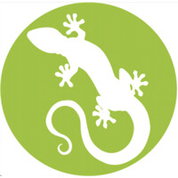 Gekko Analytics