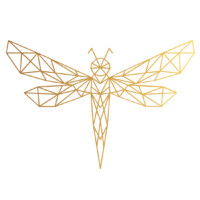 DragonFly Eye logo - Similar company to Dragonflyeye.Net