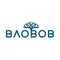 Baobob Management logo - Similar company to Digital