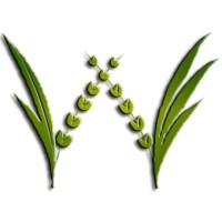 AmWel Nutrients Pvt Ltd logo - Similar company to Garden Picks