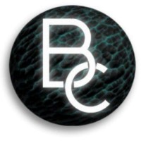 Bond Capital SIA logo - Similar company to Belles Lighting
