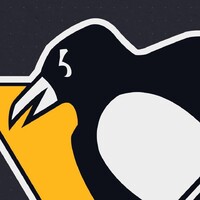 Pittsburgh Penguins logo - Similar company to Statoracle