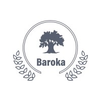 BAROKA OUTDOOR ADVERTISING logo - Similar company to Touch Sa Marketing