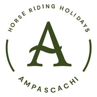 Ampascachi logo - Similar company to Alinea2