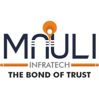 Mauli Infratech logo - Similar company to Edigitalized