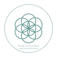 Human Balance logo - Similar company to Leuke Consulting