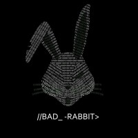 Bad Rabbit Security Limited logo - Similar company to Bright Competence Network