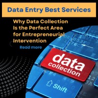 Data Entry Best Services logo - Similar company to Data Entry & Lead Generation