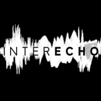 InterEcho logo - Similar company to Self Employed