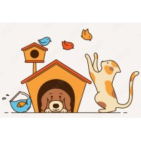 Perfect Paws logo - Similar company to The Perfect Paws