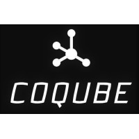 CoQube Semiconductor logo - Similar company to Asiczen Technologies