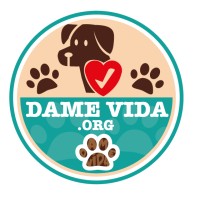 Organización Dame Vida logo - Similar company to Fundación Merced Querétaro A.C.