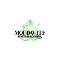 Moldavite Business Booster logo - Similar company to Megapro Tools