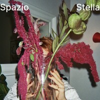 Spazio Stella logo - Similar company to Goloasi.It