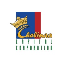 Chelinaa Capital Corporation - 雀灵纳资本公司 logo - Similar company to Vingrows Business Solutions