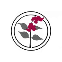 Centre for Environmental Law and Climate Justice logo - Similar company to Centre For People'S Forestry (Cpf)