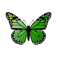 Evolutional logo - Similar company to Ecoslurps