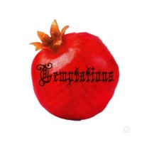 The Temptations Salon and Zine logo - Similar company to Blackpuffin
