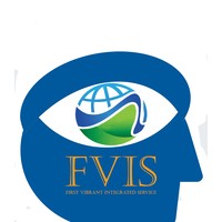FVIS logo - Similar company to Fvis Group