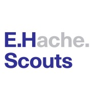 EH Scouts logo - Similar company to Dosdoce.Com