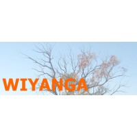 Wiyanga logo - Similar company to Indigenous General Practice Trainee Network (Igptn)