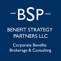 Benefit Strategy Partners, LLC logo - Similar company to Danielle C. Levy