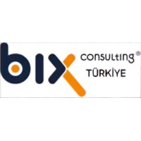 Bix-Consulting TÜRKİYE logo - Similar company to Paricon