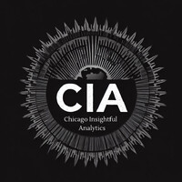 Chicago Insightful Analytics logo - Similar company to S+E Consulting, Llc