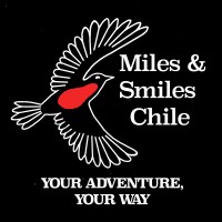 Miles & Smiles Chile logo - Similar company to Miles&Smiles