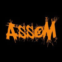 Asso'M logo - Similar company to Asap Network