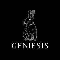 GENIESIS logo - Similar company to Artysium