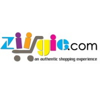 Ziigie.com logo - Similar company to Begin Bound, Llc