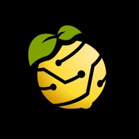 Limon Industries logo - Similar company to Abramba Technologies, Plc