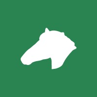 Focus Horse logo - Similar company to Vierkant Software Gmbh