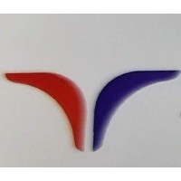 VYAS CORPORATE CONSULTANCY SERVICES PRIVATE LIMITED logo - Similar company to Skilledge Training & Consultancy