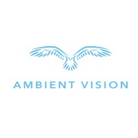 Ambient Vision logo - Similar company to Diebold Security Systems Ltd
