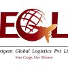 Exigent Global Logistics Pvt Ltd logo - Similar company to Dev Logistic
