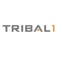 Tribal One logo - Similar company to Stealthcom Solutions