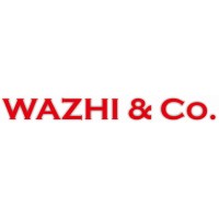 WAZHI & CO logo - Similar company to Salim & Partners